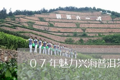 07年魅力兴海普洱茶/2023100663239