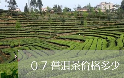 07普洱茶价格多少/2023091402928