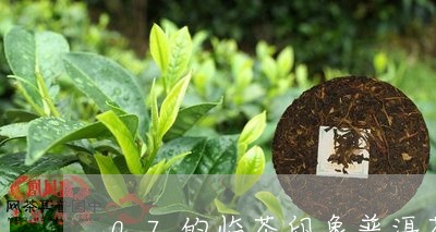 07的临茶印象普洱茶/2023100849583