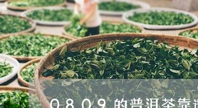 0809的普洱茶靠谱吗/2023112809471