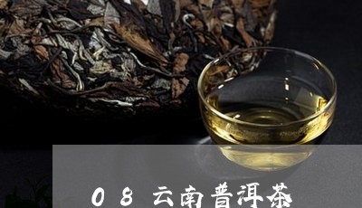 08云南普洱茶/2023112409572