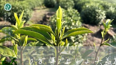 08年7542大益茶/2023092104936