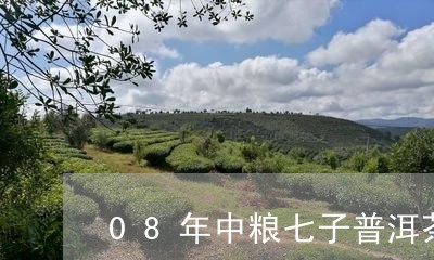 08年中粮七子普洱茶/2023072279373