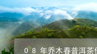 08年乔木春普洱茶价格/2023122061406