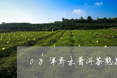 08年乔木普洱茶熟茶/2023100748492