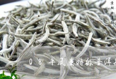 08年凤庆特级普洱茶/2023100645258