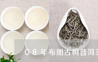 08年布朗古树普洱茶/2023073193059