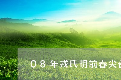 08年戎氏明前春尖普洱茶/2023051032716