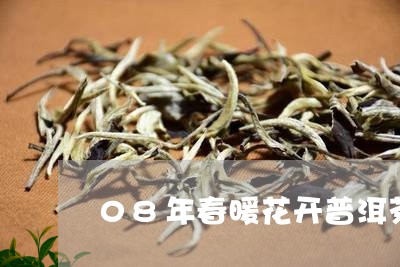 08年春暖花开普洱茶/2023073133937