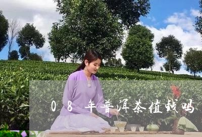 08年普洱茶值钱吗/2023071075958