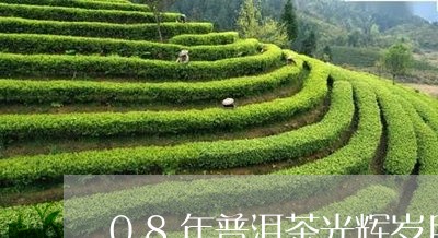 08年普洱茶光辉岁月/2023062531726