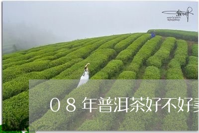 08年普洱茶好不好卖呀/2023081604026