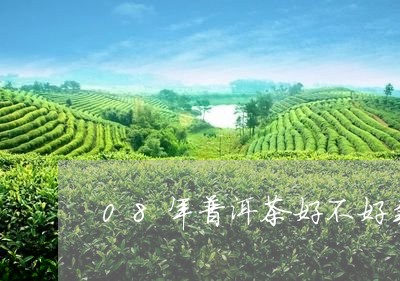 08年普洱茶好不好卖呢/2023101727271