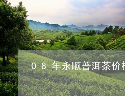 08年永顺普洱茶价格/2023080190582