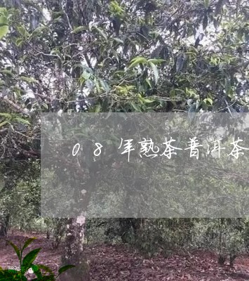 08年熟茶普洱茶价格/2023080340603