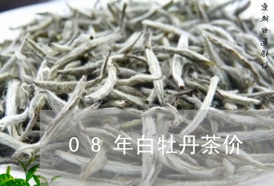 08年白牡丹茶价/2023090668614