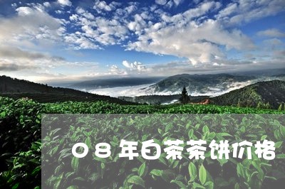 08年白茶茶饼价格/2023121348362