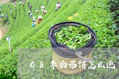 08年白茶饼怎么泡/2023121366047