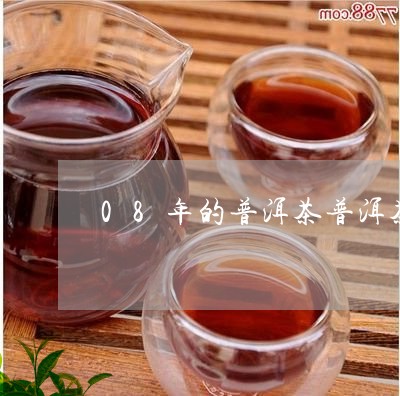 08年的普洱茶普洱茶冬天喝/2023052710602