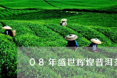 08年盛世辉煌普洱茶/2023080209573