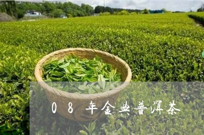 08年金典普洱茶/2023120474157