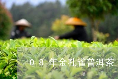 08年金孔雀普洱茶/2023091535258