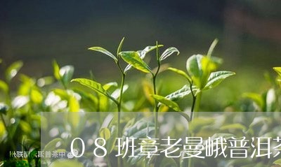 08班章老曼峨普洱茶/2023120671706