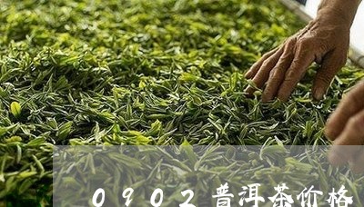 0902普洱茶价格/2023070947271