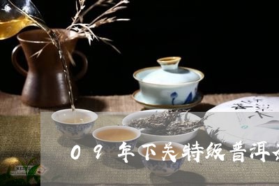 09年下关特级普洱茶/2023072215169