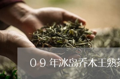 09年冰岛乔木王熟茶/2023061278483