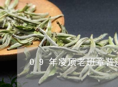 09年凌顶老班章普洱茶/2023050593249