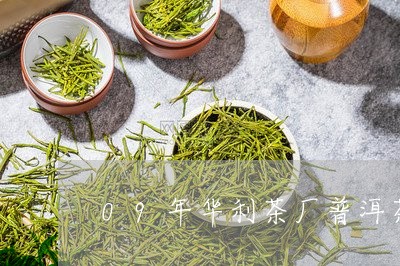 09年华利茶厂普洱茶/2023092793838