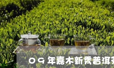 09年嘉木新秀普洱茶/2023100575351