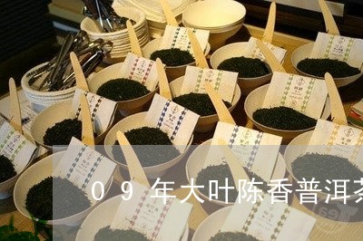 09年大叶陈香普洱茶/2023092710693