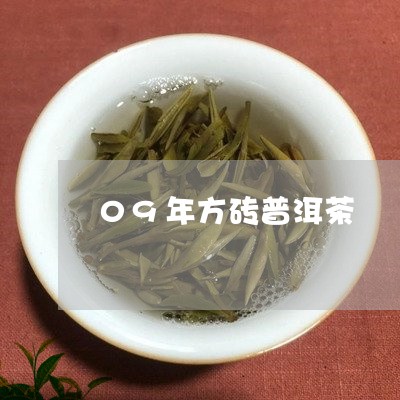 09年方砖普洱茶/2023112682683