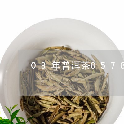 09年普洱茶8578/2023062862604