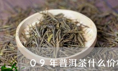 09年普洱茶什么价格/2023080288369