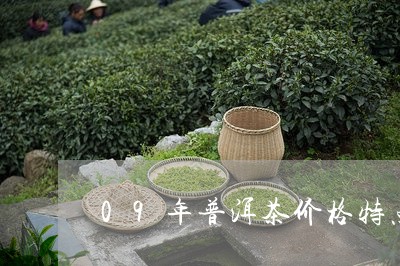 09年普洱茶价格特点/2023100839470