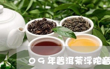 09年普洱茶浮陀音泉/2023092951614