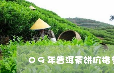 09年普洱茶饼价格多少钱一盒/2023110592826