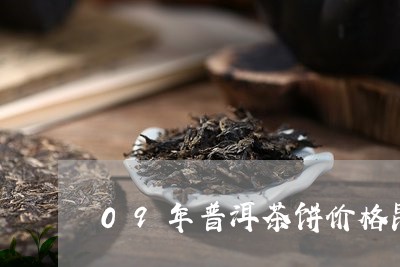 09年普洱茶饼价格昆明/2023102443605