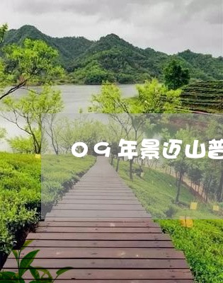 09年景迈山普洱茶/2023070934838