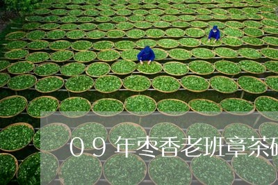 09年枣香老班章茶砖/2023092437283