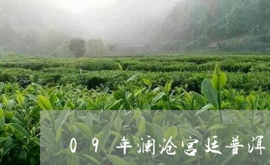 09年澜沧宫廷普洱茶/2023100510492