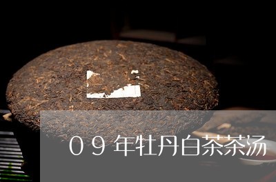 09年牡丹白茶茶汤/2023071373025