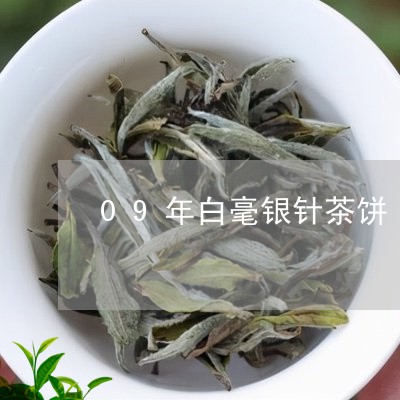 09年白毫银针茶饼/2023120609481