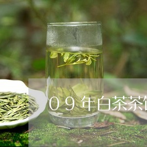 09年白茶茶饼价格/2023121573695