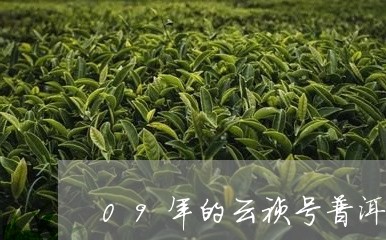 09年的云祯号普洱茶/2023072420593