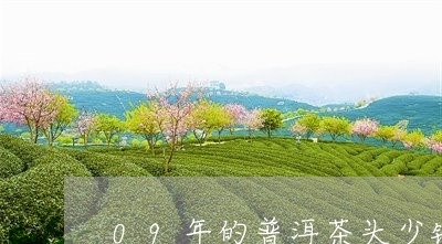 09年的普洱茶头少钱/2023072481716