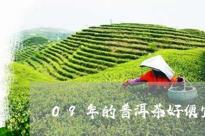 09年的普洱茶好便宜/2023072492936